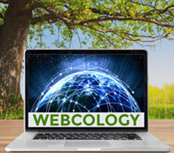 Webcology: The When the Going Gets Weird the Weird Keep Going Edition