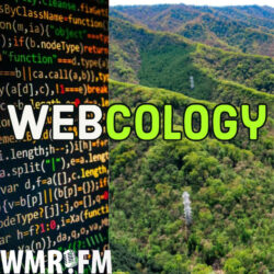 Webcology Podcast